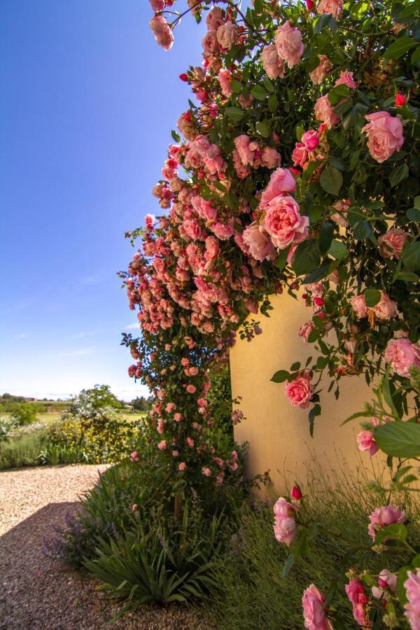 Rinidia Bio Vila Sovicille Exterior foto